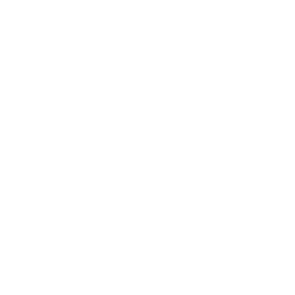 logo blanc sans fond